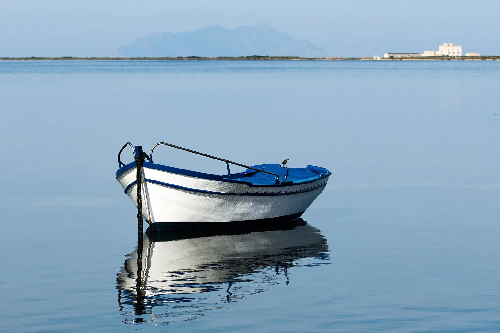 Barca da pesca bianca e blu ferma sull'acqua calma dello Stagnone, con la costa bassa e un profilo montuoso sullo sfondo