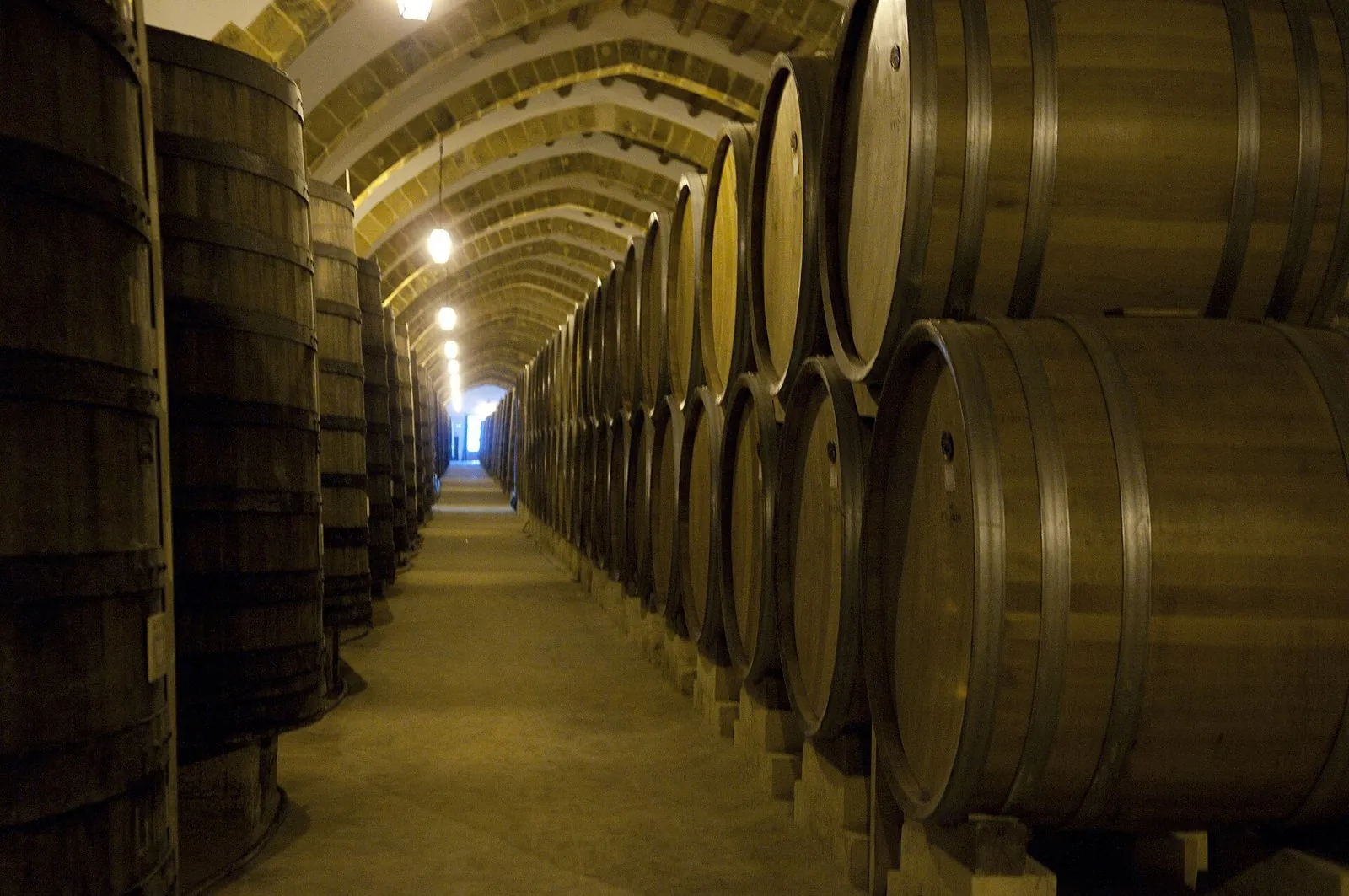Lunga galleria a volte in pietra di una cantina storica di Marsala con file di grandi botti di rovere